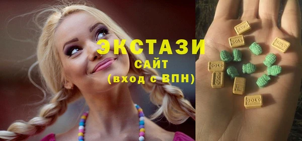 гашик Костерёво