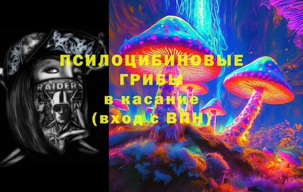 гашик Костерёво