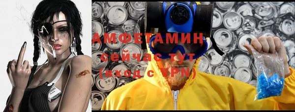 гашик Костерёво