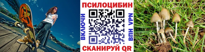 Купить закладки  Железноводск  Галлюциногенные грибы Magic Shrooms 